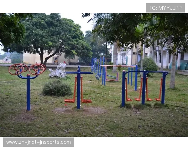 室外健身器材优缺点解析及其在体育运动中的适用场景 室外健身器材优缺点解析及其在体育运动中的适用场景