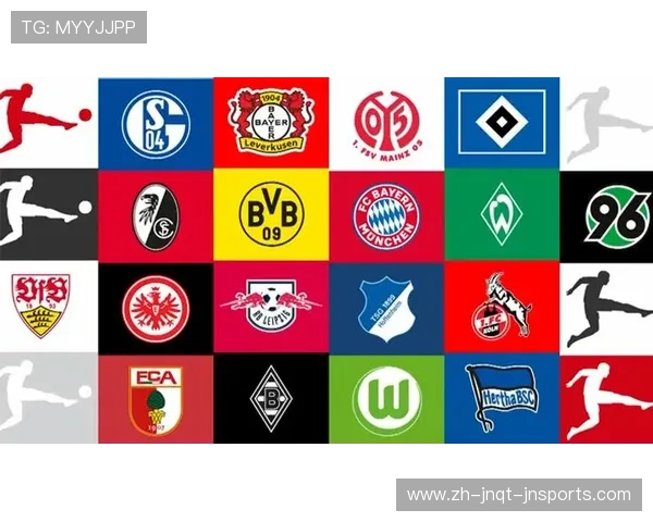 德甲球队球员薪资结构分析